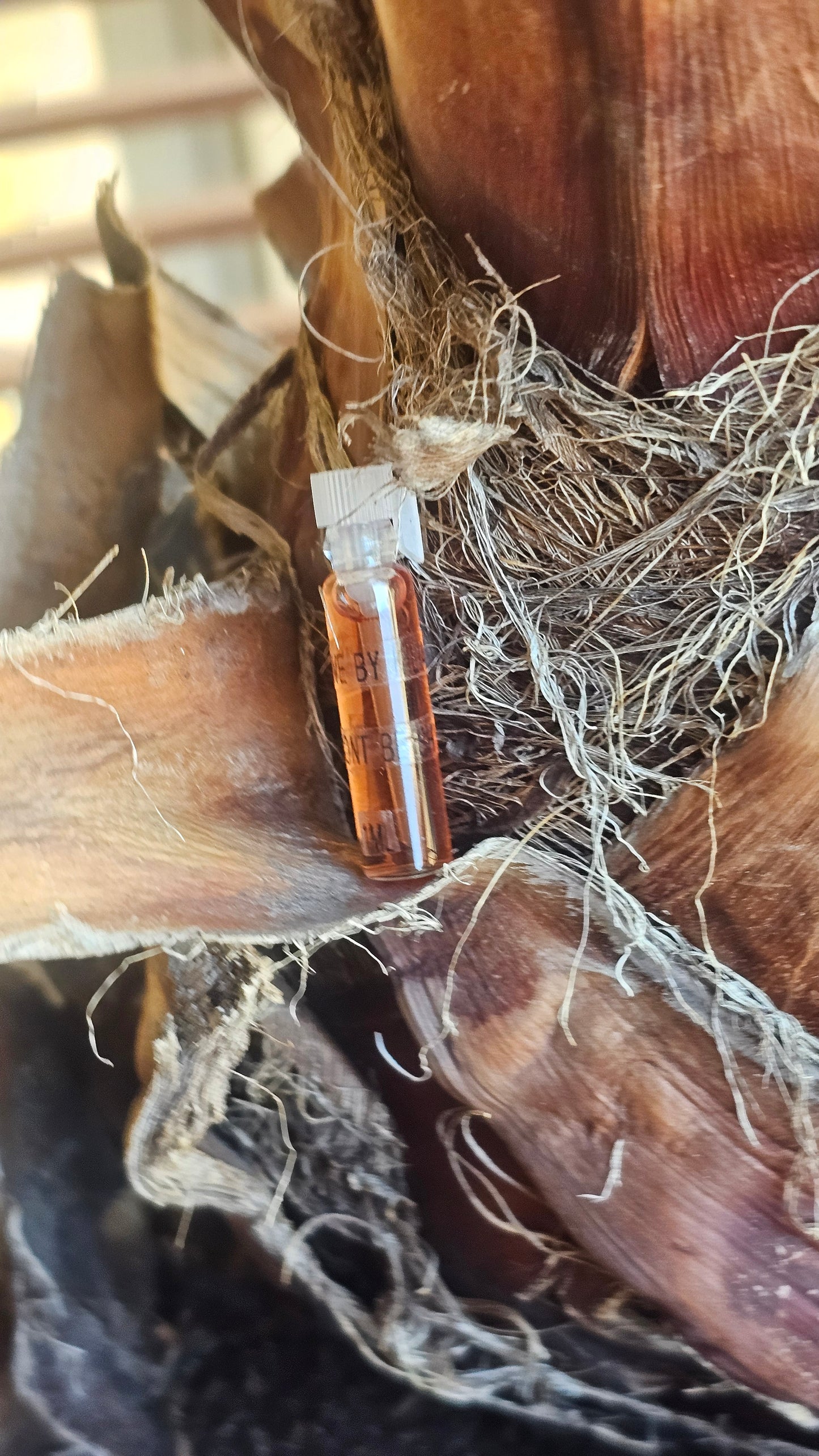 Black Opium Yves Saint Laurent 1ml