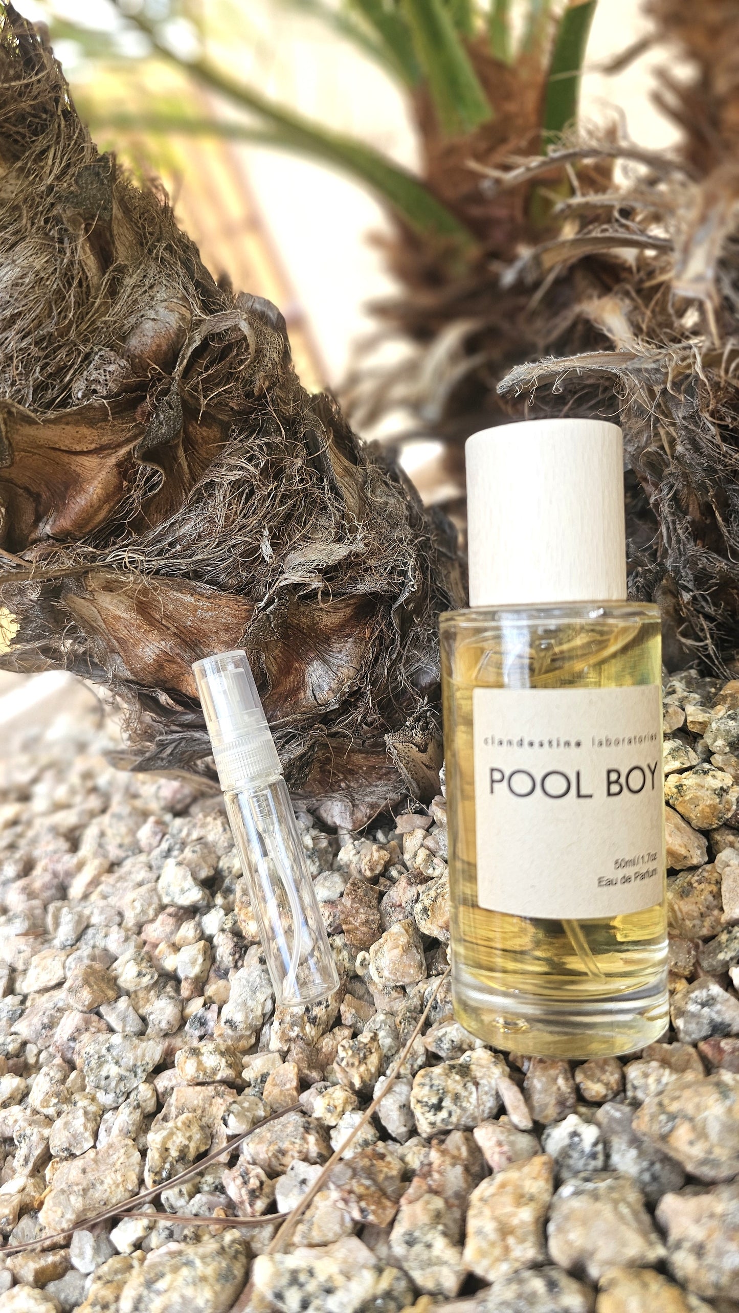 Pool Boy 5ml Discontinued 2024 formulation