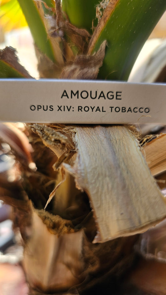 Amouage Opus XIV Royal tobacco 2ml 0.06 fl oz
